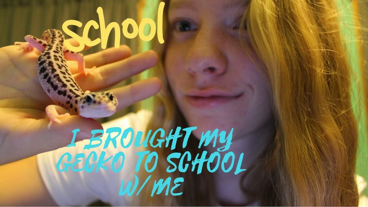 I BROUGHT MY GECKO TO SCHOOL WITH ME