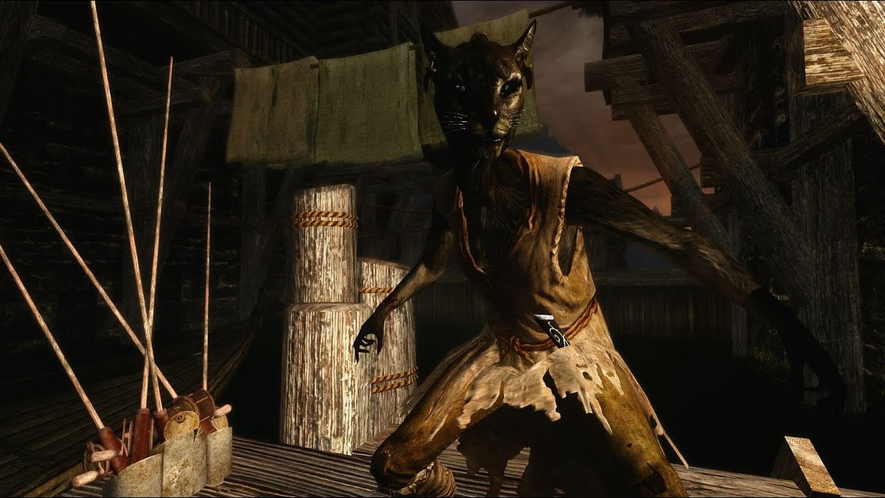 Skyrim Builds - The Thalmor Assassin (Modded)