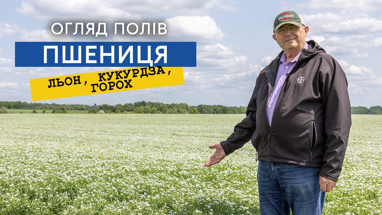 Як льон виріс за місяць? Дивіться результат! Жатки для кукурудзи та соняха з міжряддям 45 см.