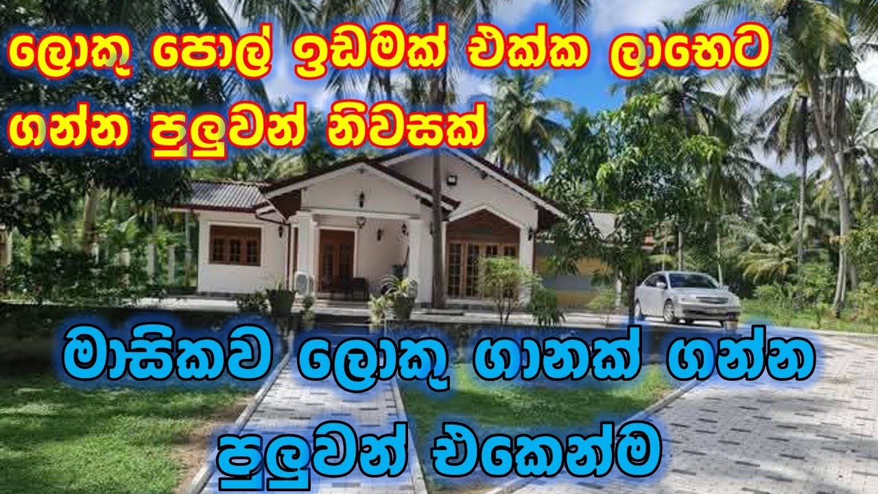 ලොකුම ලොකු ඉඩමක් එක්ක ගන්න පුලුවන් ව්ටිනා නිවසක් | Coconut land with house for sale  Sri Lanka 2025
