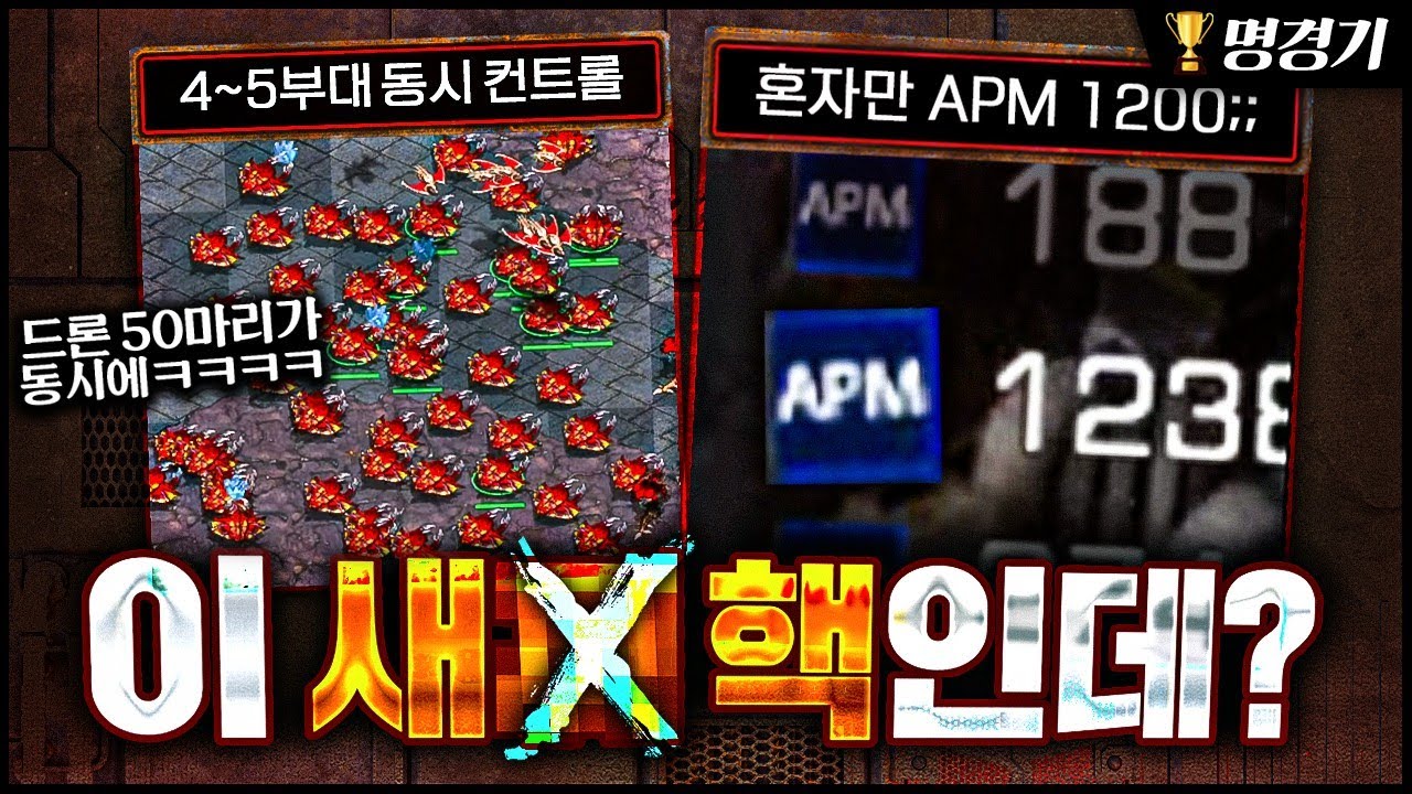 역대급 핵쟁이😡 +도발러 쓰레기