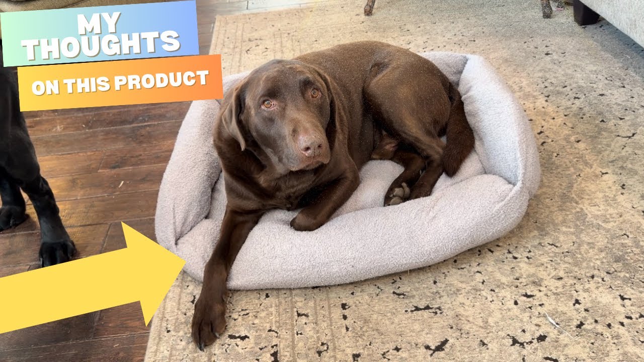 Dog Bed Review. A Necessary Upgrade! #ad #amazoninfluencer