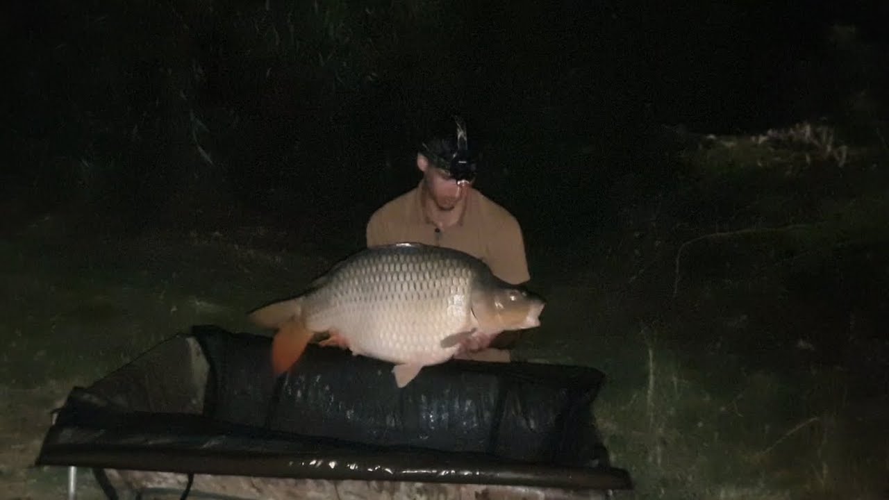 Magura 9 - Revansa Mult Asteptata 150KG Pește