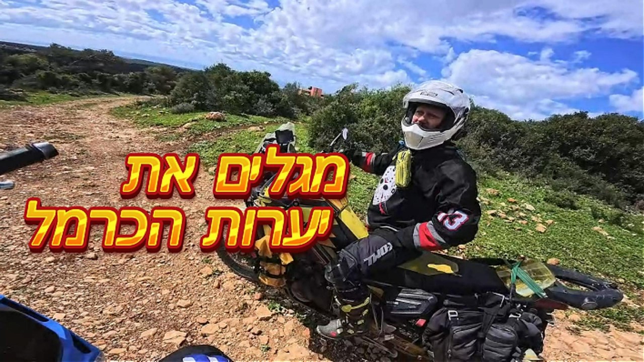 מגלים את יערות הכרמל