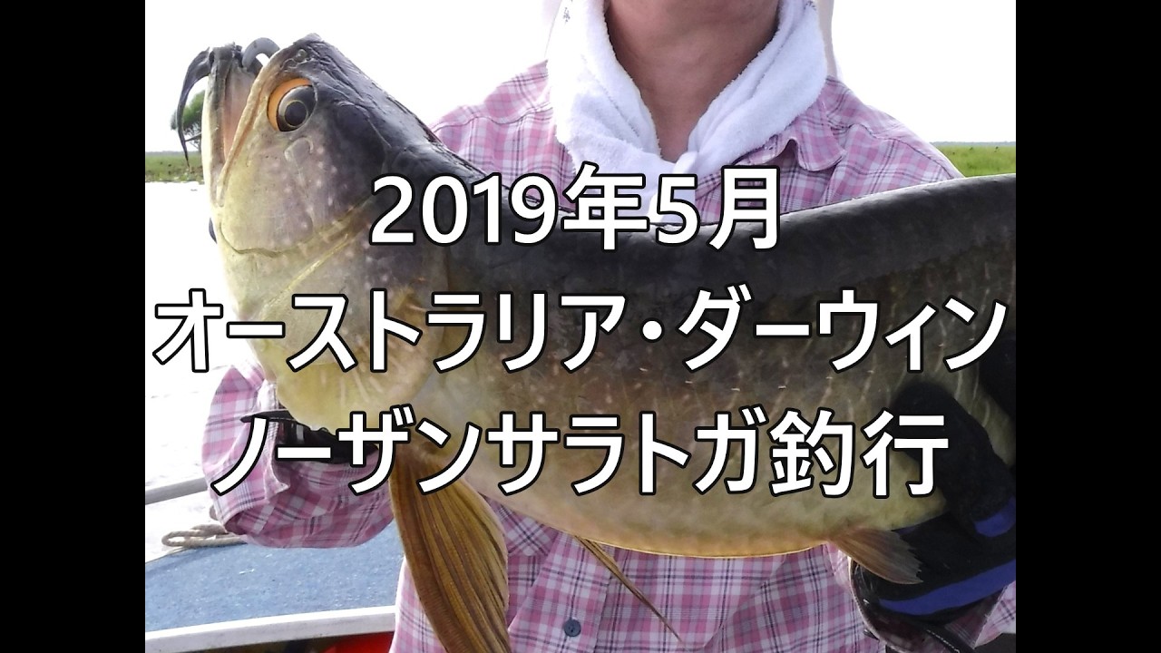 2019年5月ダーウィン・ノーザンサラトガ釣行
