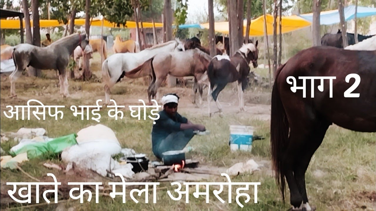 खाते का मेला   (अमरोहा )  6 सितम्बर 2023              भाग - 2