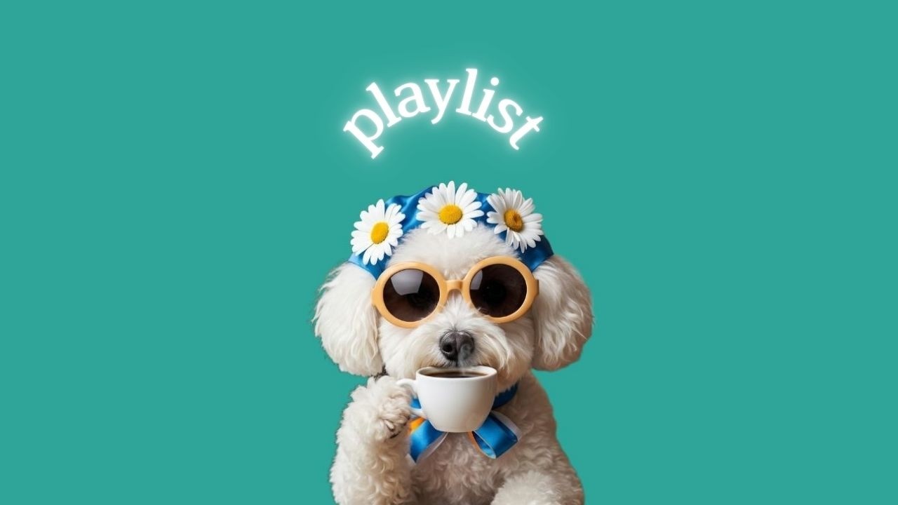 [playlist] Просто включите | Спокойный эмоциональный поп | Chill Pop | BGM для работы и учебы