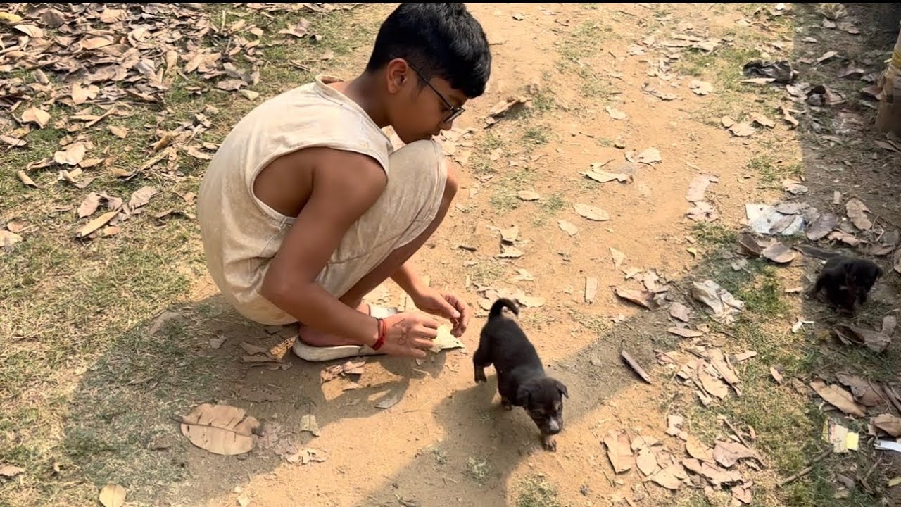 Angul re pahanchi galu #lifeofanismita #odiavloggerinmalaysia #angulvlog #indiatrip 