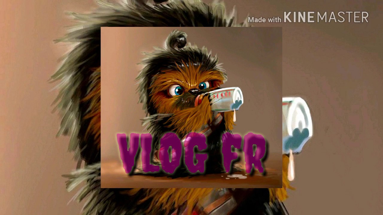 Mon intro VLOG fr