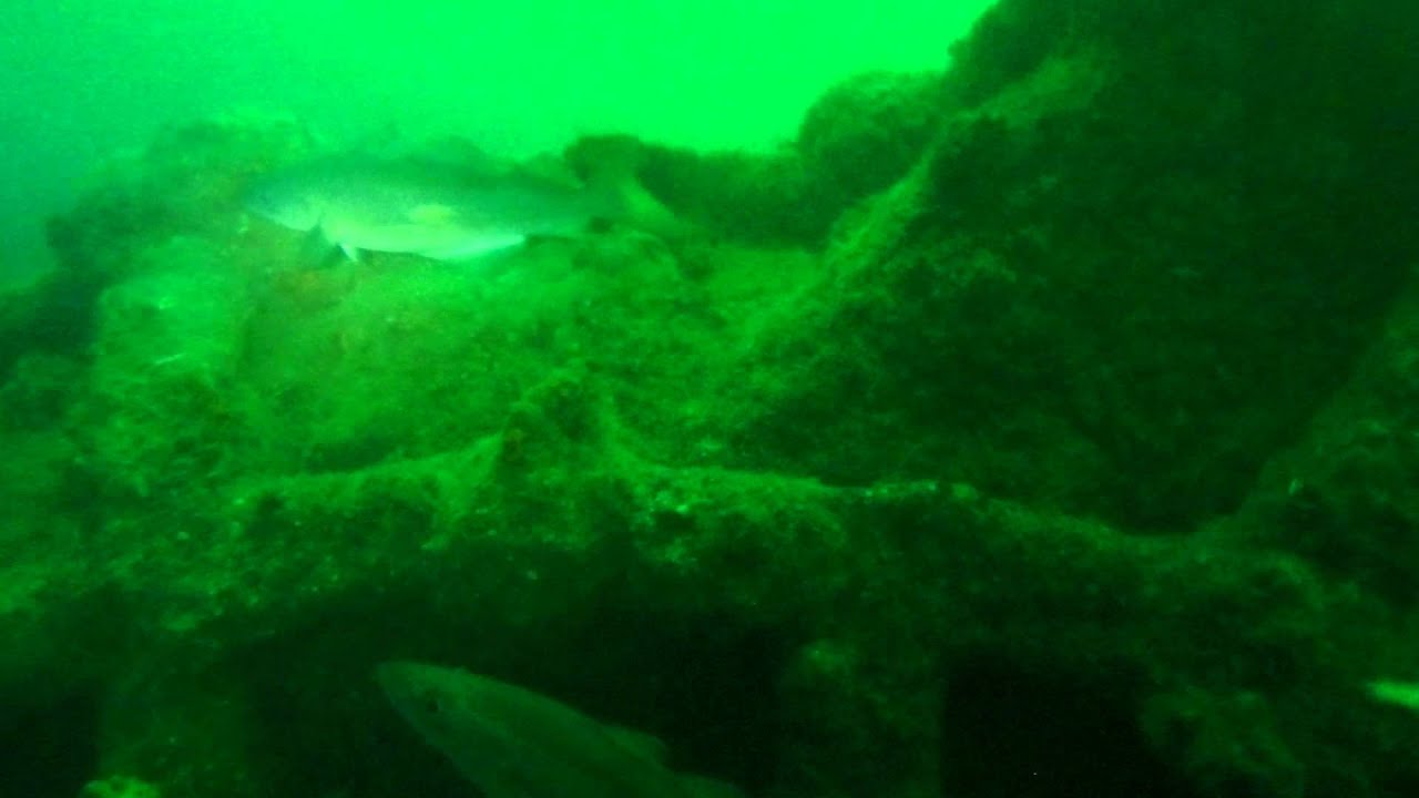 2013 10 11 Laurentic propeller shaft, turbine and engines