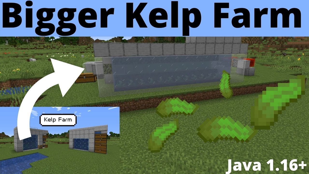 Bigger Kelp Farm Minecraft java 1.17