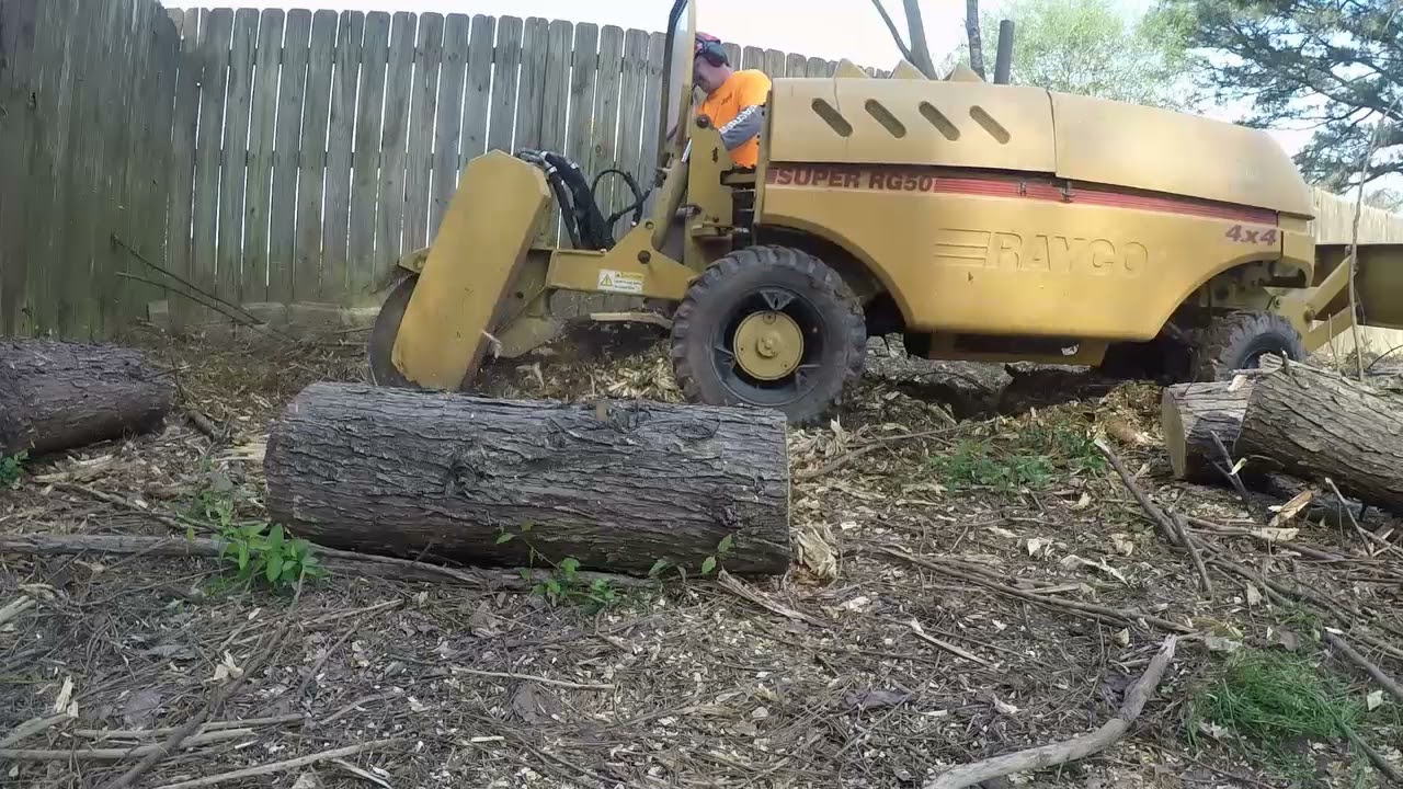 Rayco RG 50 Stump Grinder tackling over twenty stumps.