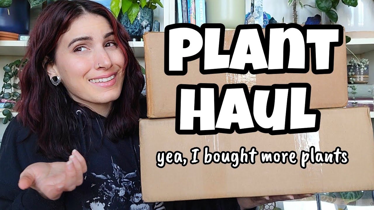 PLANT HAUL!! 🤷🏻‍♀️ Two Boxes of Plants from Wuhoo Tropicals & Jinger's Greenhouse 🌿