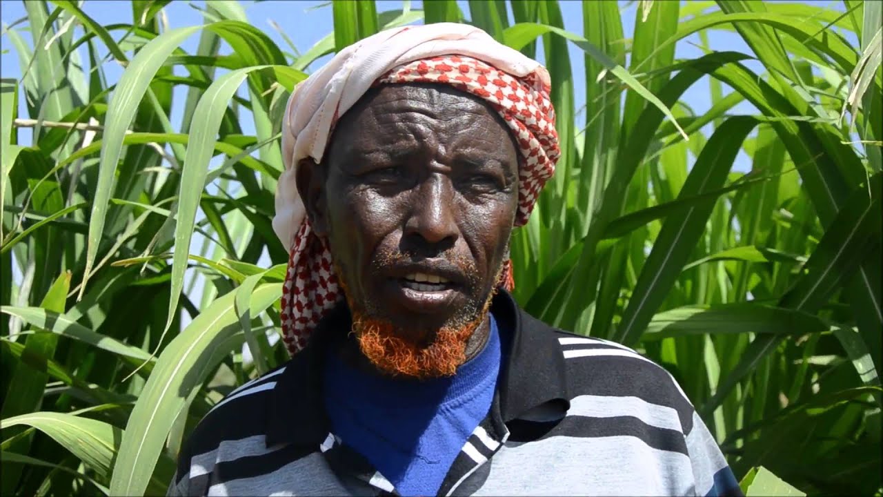 El Niño Response in Dollow, Somalia