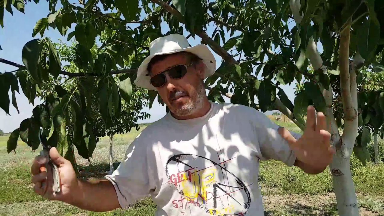 Μαθήματα στην πράξη με το Θοδωρή Αγραφιώτη.