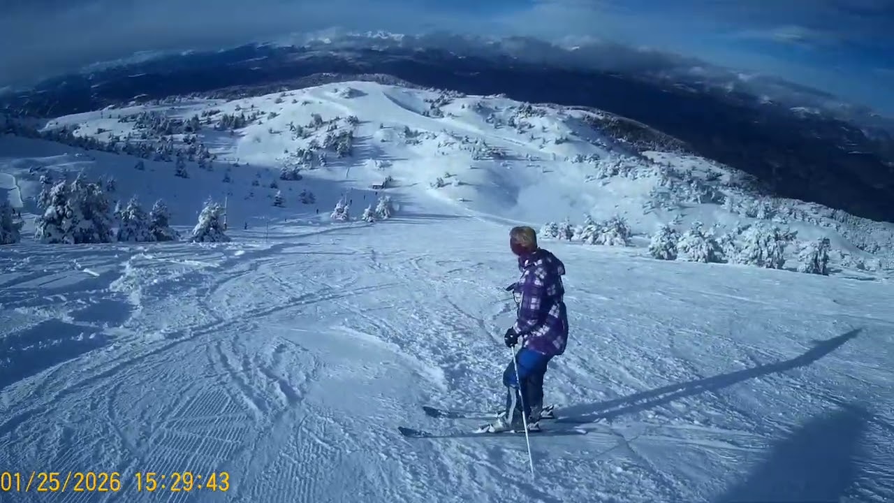 Greo Bouvets