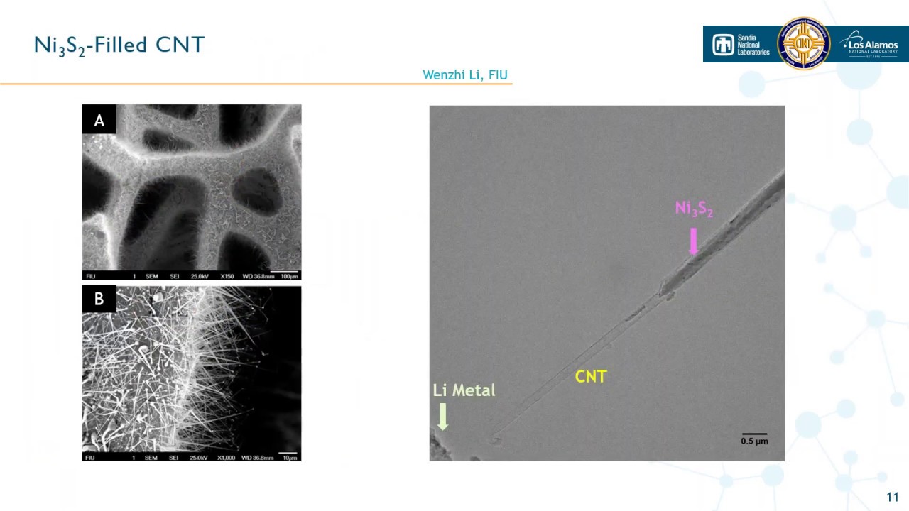 Low-dose and high-speed in-situ TEM with the K3 IS camera
