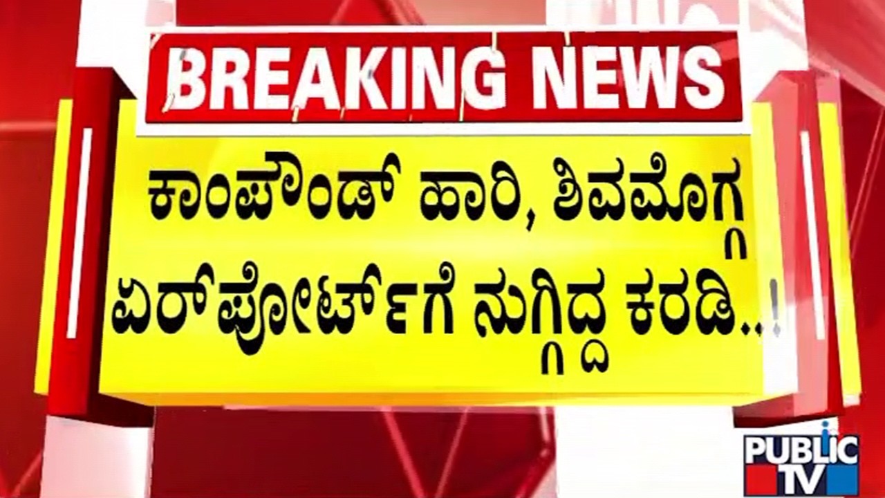 Bear Roams Inside Shivamogga Airport; Forest Officials Capture It