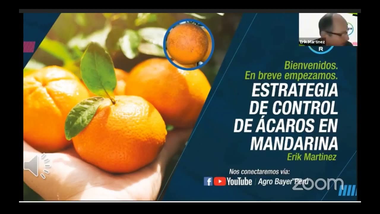 Estrategia de control de ácaros en mandarina | Agro Bayer Perú