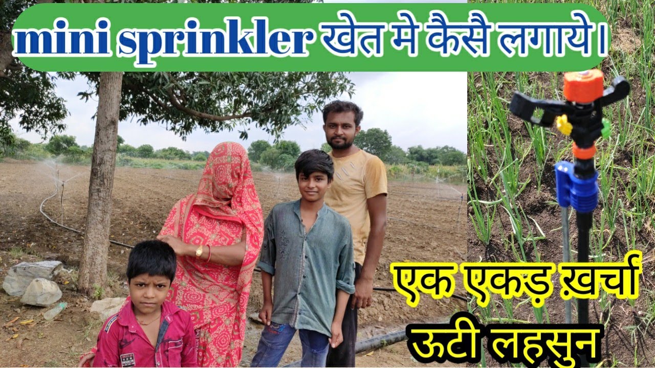 एक एकड़ में मिनी स्प्रिंकलर का खर्चा/how to mini sprinklers install/मिनी फव्वारे कैसे लगाये