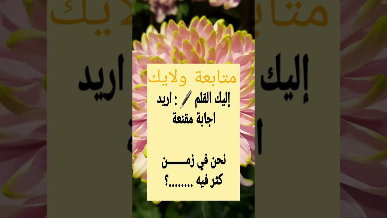 كل واحد يحط اجابة مقنعة يلا