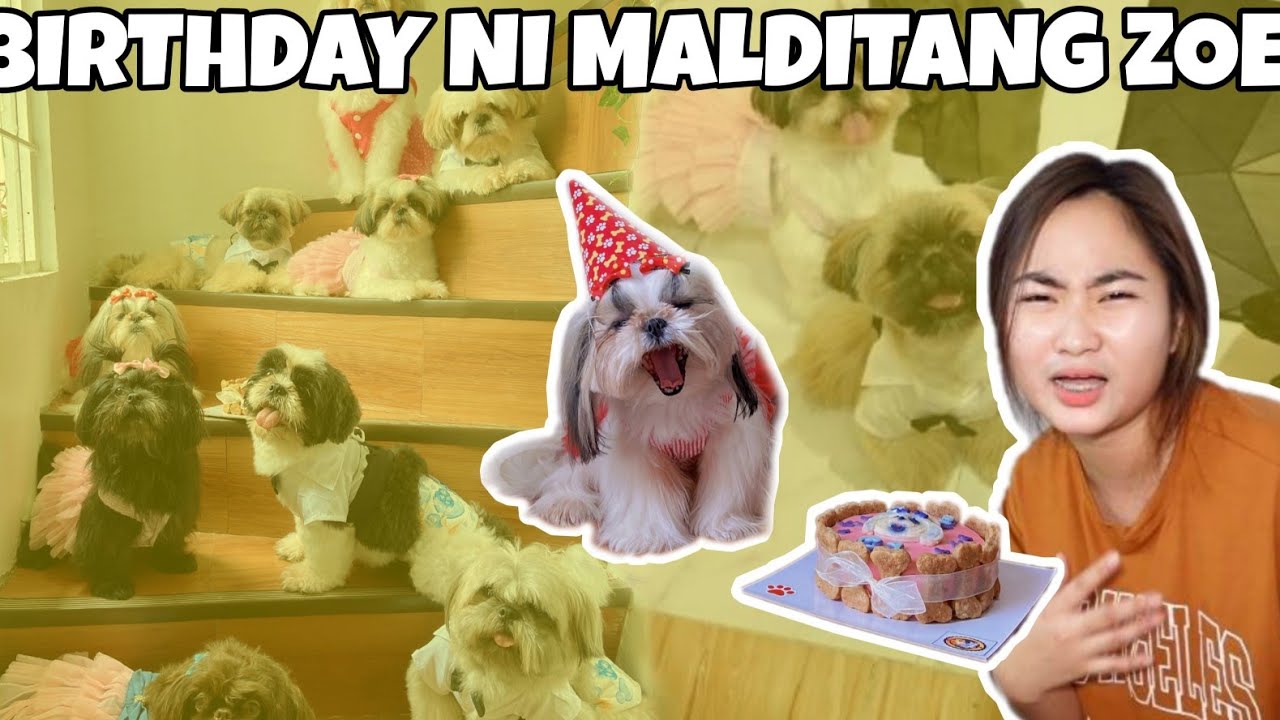 HAPPY BIRTHDAY ZOE! (I'M SORRY NASIRA ANG CAKE MO ANAK) || Shang Ragasa