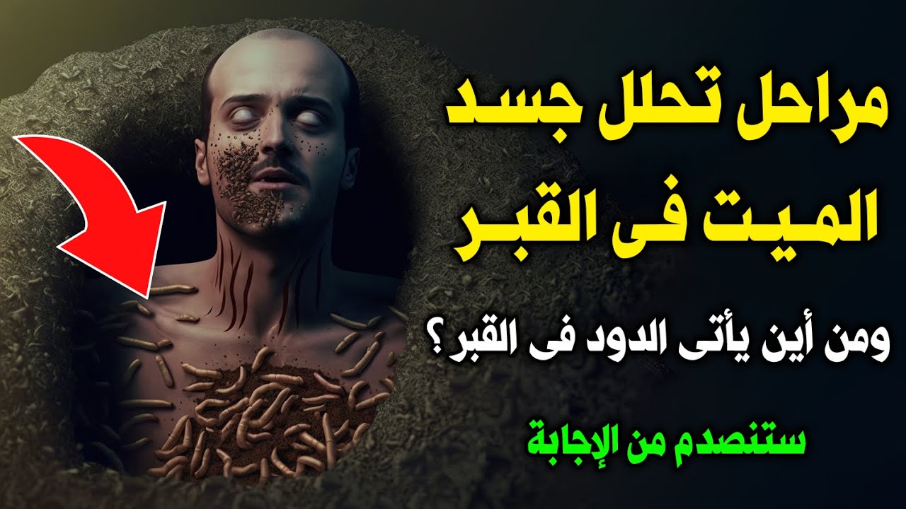 مراحل تحلل جسد الميت فى القبر ؟ ومن أين يأتى الدود فى القبر؟ وأين يختفى ؟ وهل يشعر الميت ؟ ستبكى
