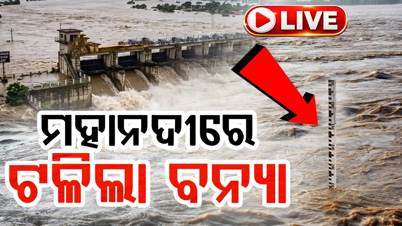 🔴Ajira Bitarka Live | ମହାନଦୀରେ ଟଳିଲା ବନ୍ୟା | Mahanadi Flood Update | Argus News