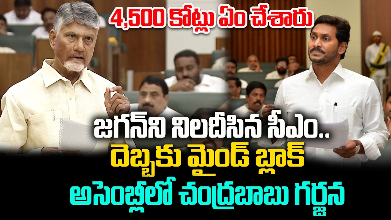 CM Chandrababu Naidu Roars in Assembly:Demands Answer on ₹4,500 Crores Scrutiny | Jagan Mohan Reddy