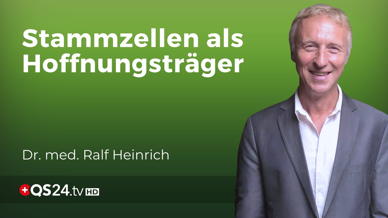 Von Arthrose bis Herzstärkung: Die vielseitigen Möglichkeiten der Stammzellen-Therapie | QS24