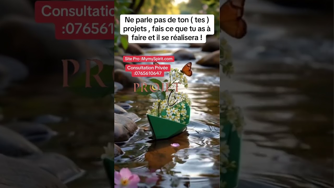 Ne parle pas de ton (tes ) projets , fais ce que tu as à faire & il se réalisera ! 