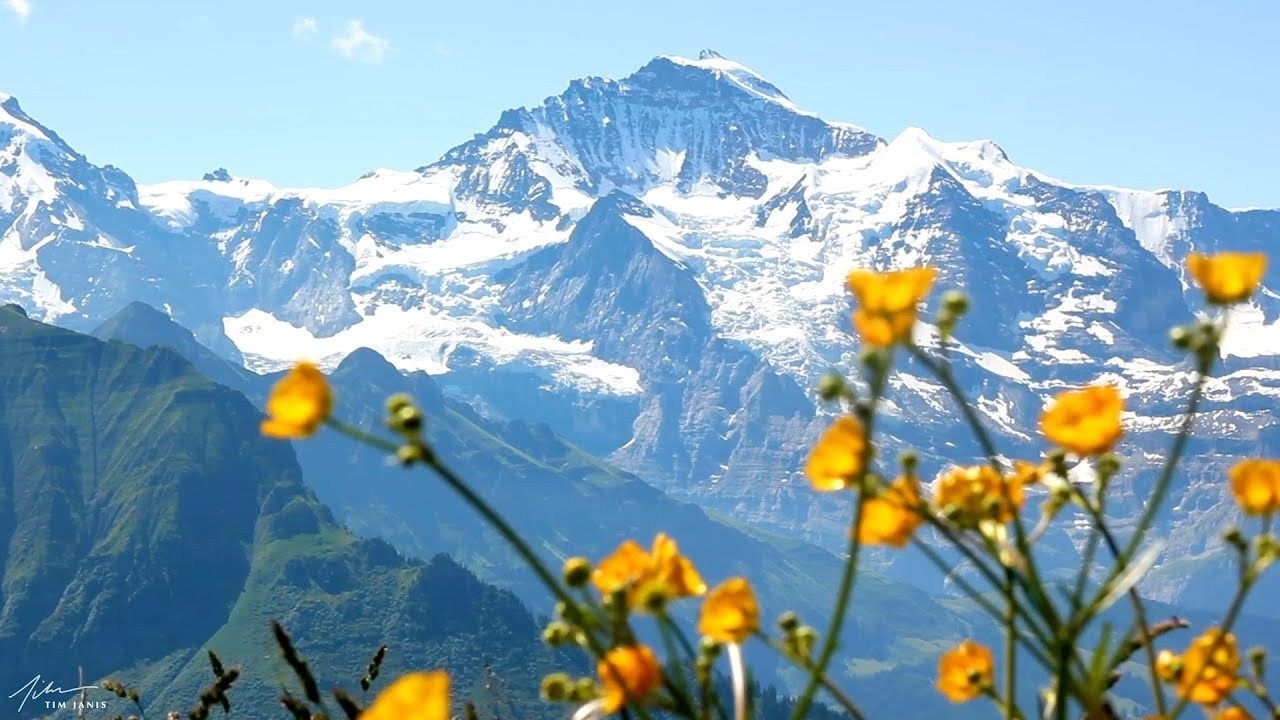 Renewing Spring, Beautiful Relaxing Music, Peaceful Soothing Music, by Tim Janis