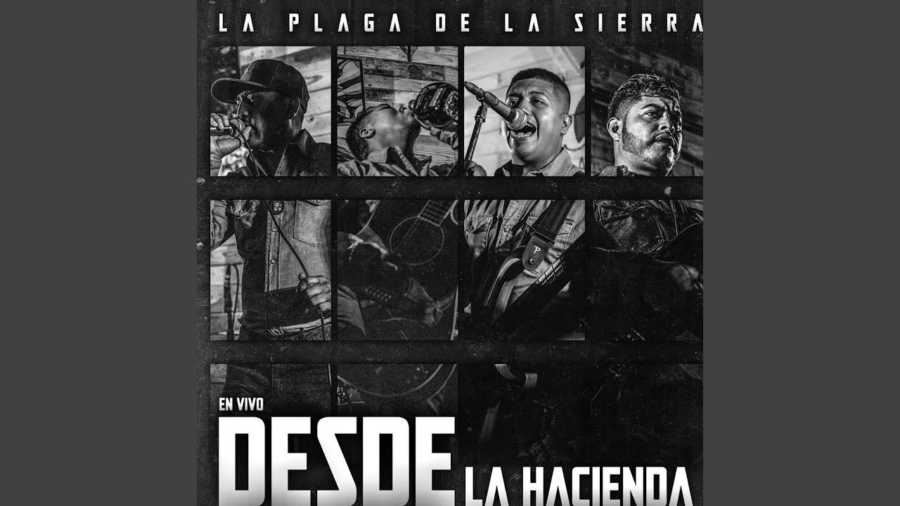 El Pato Nada/ El Gallo De Sinaloa (En Vivo)