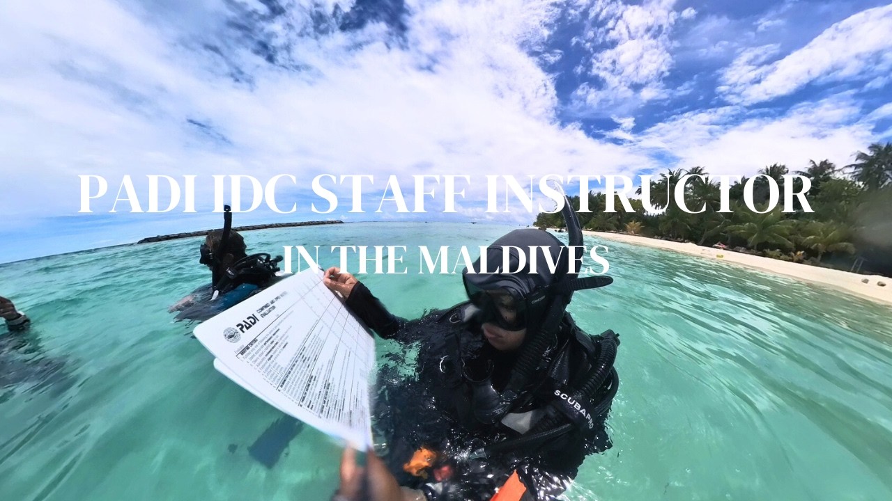 I did the Padi IDC Staff Instructor course : Here's what you should know