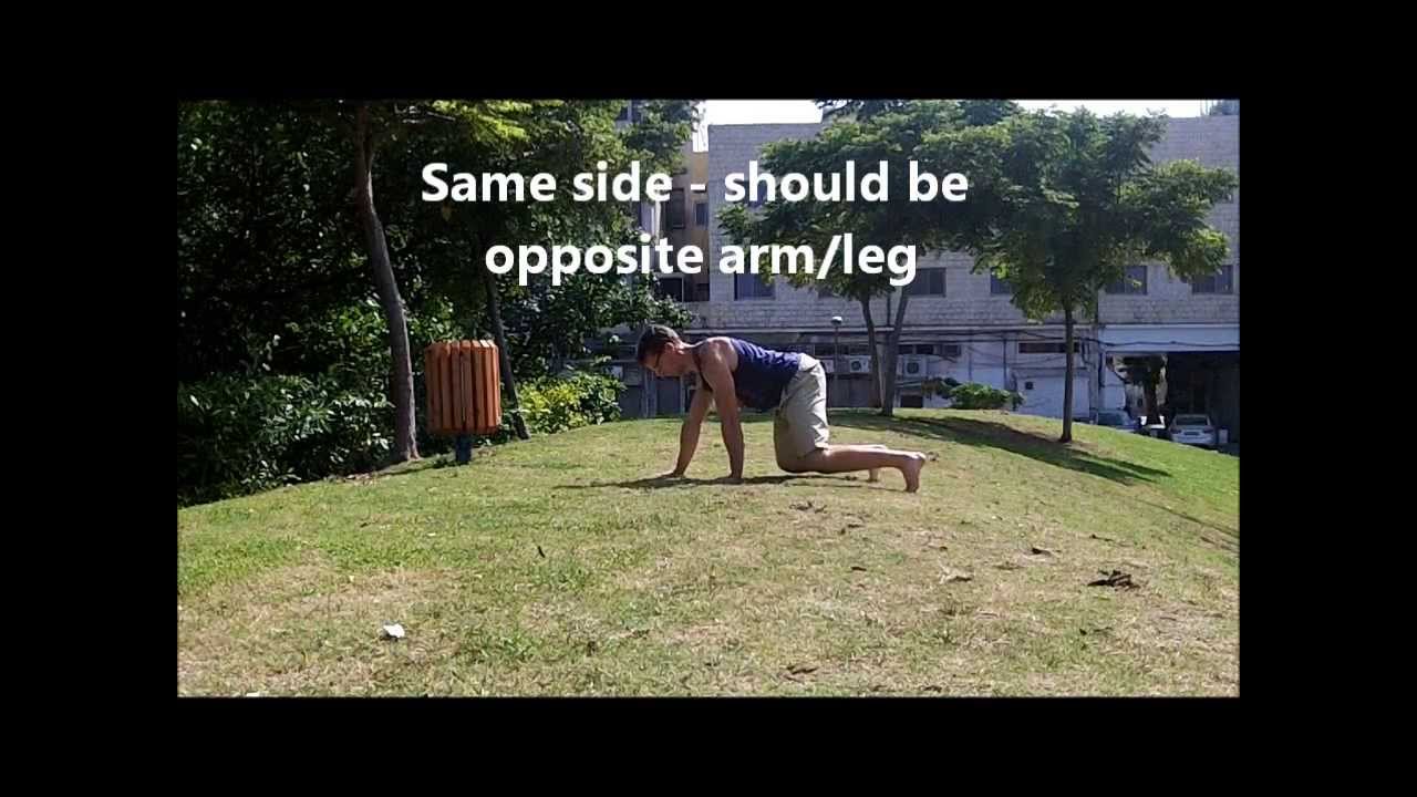 How to crawl correctly (tutorial)