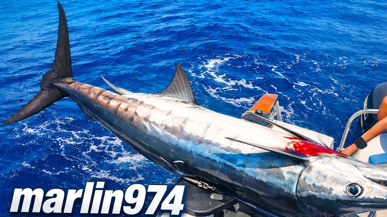 NOTRE PREMIER MARLIN PÊCHE  EN  MER (SEA FISHING)  à la Réunion Big Fish