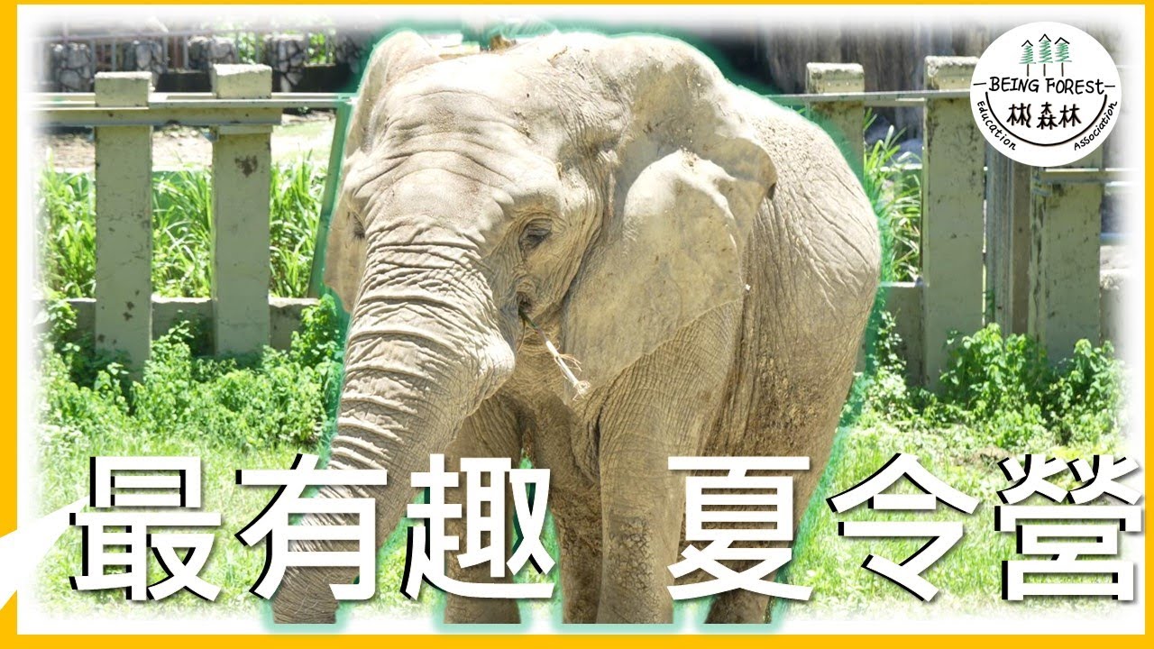 4K HD (台灣最豐富的夏令營) 科學老師 變成 廚師拉