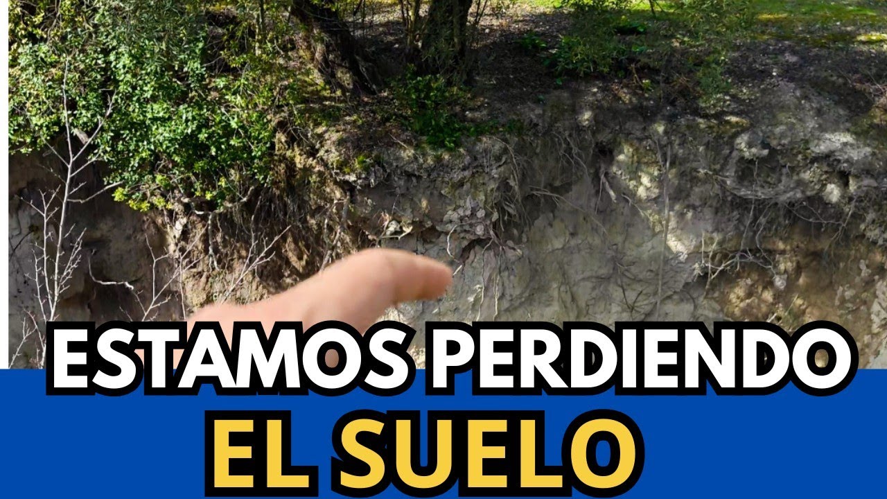 🟥 El Agua YA NO ENTRA en el Suelo: Compactación y Erosión
