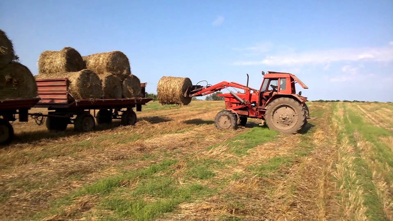Szalmahordás MTZ 80 akcióban