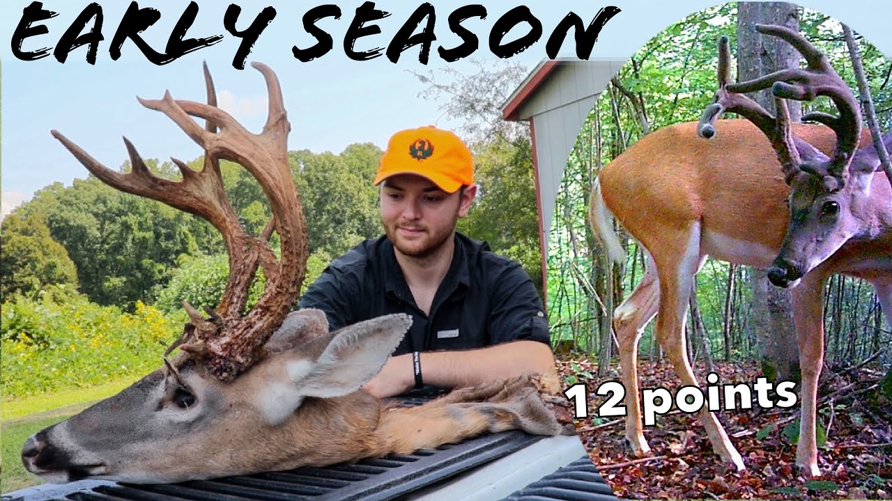 Early-Season Deer Hunting NORTH CAROLINA (12 point Bow Buck!)