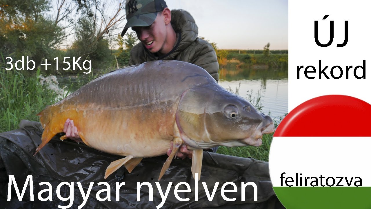 Nagyponty horg&aacute;szat---Farkinc&aacute;s T&oacute;--- &Uacute;J REKORD---3x15kg felett