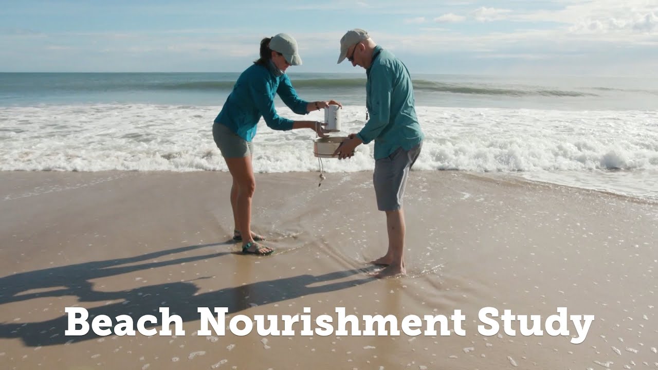 Research Highlight: Long-term Impacts of Beach Nourishment on Shoreline Ecosystems