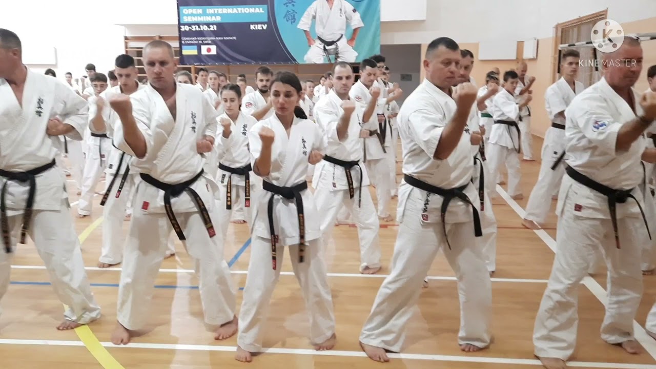 Міжнародний семінар під керівництвом o Hatsuo Royama 9dan та IiiaMasahide 6dan