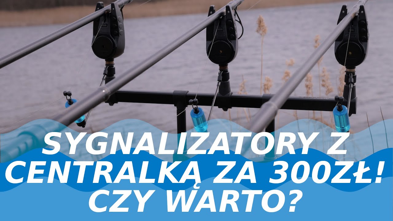 KARPIOWE SYGNALIZATORY Z CENTRALKĄ ZA 300ZŁ! CZY WARTO?