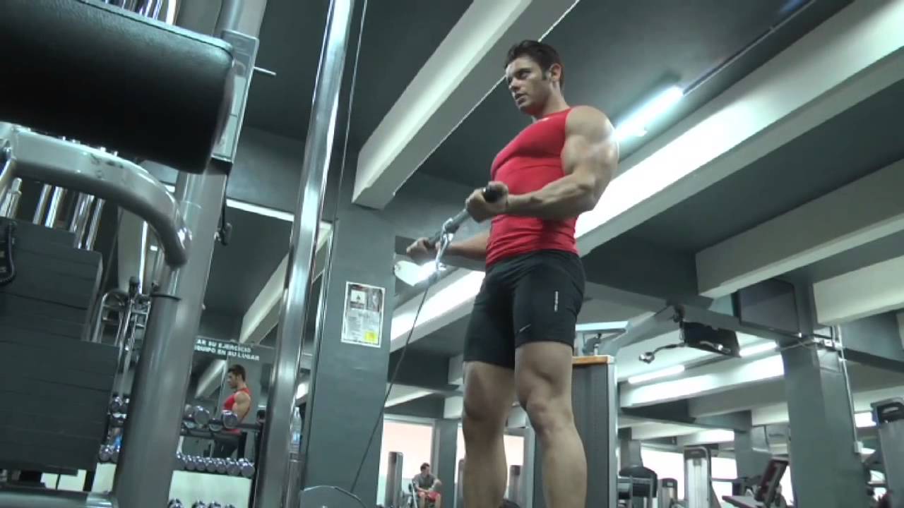 Aparatos más comunes en el GYM