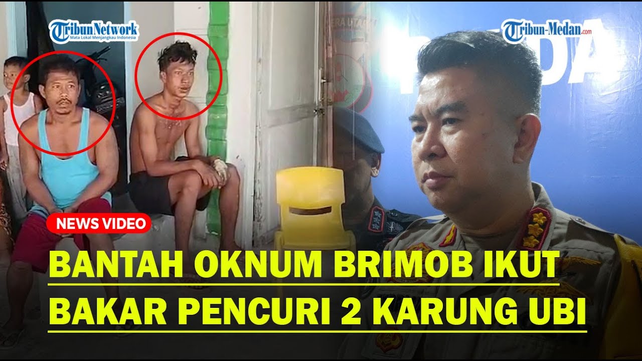 POLDA SUMUT BANTAH Oknum Brimob Ikut Bakar Pencuri 2 Karung Ubi di Deli Serdang, Hanya Tempeleng