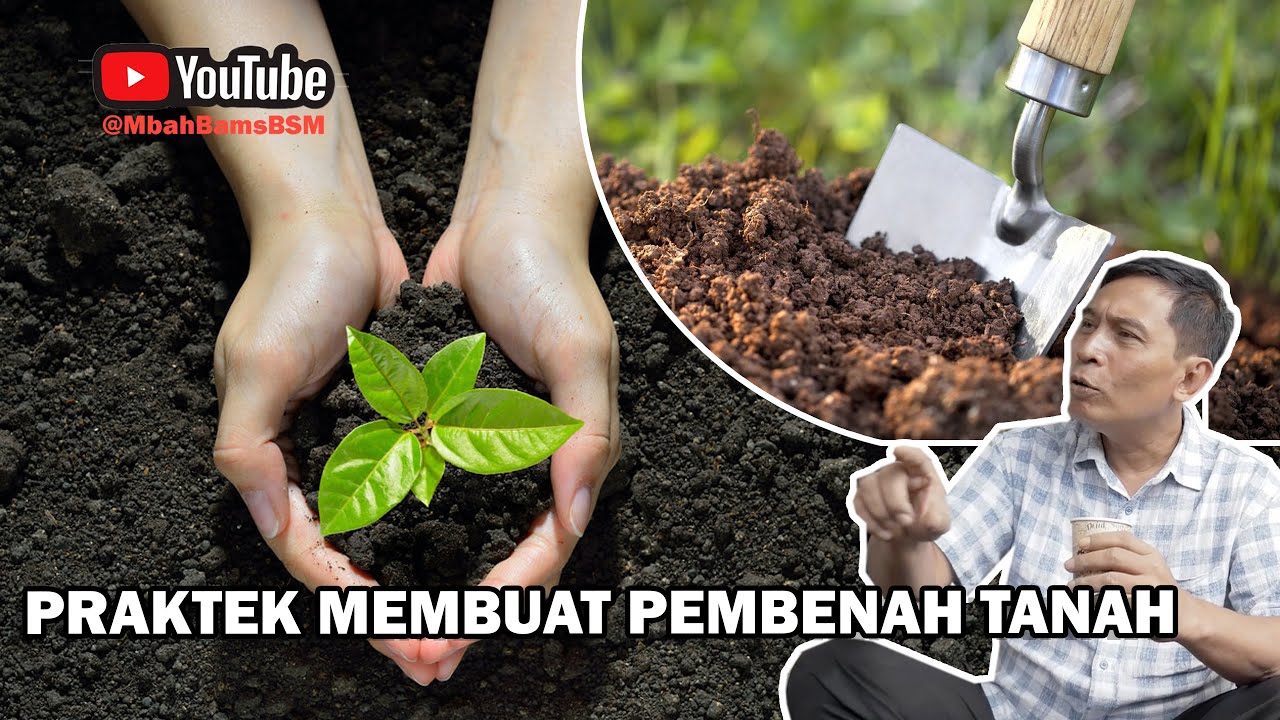 PRAKTEK MEMBUAT PEMBENAH TANAH | BAYU DININGRAT #bayudiningrat #bayusehatmandiri