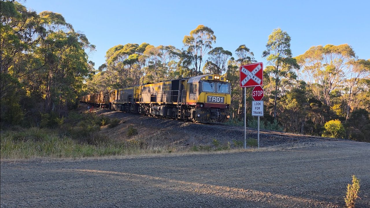 TasRail TR01 TR02 #34 Log train crossing Jollys Road