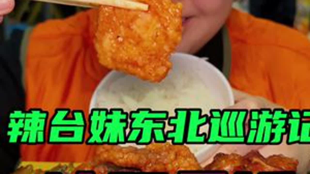 17块畅吃东北沈阳盒饭！！八九十道菜嘴巴眼睛根本忙不过来！ #全国各地老吃家提前过年了 #舌尖上的抖音#百大厨神年味赛 #为乡村特产代言 #沈阳盒饭