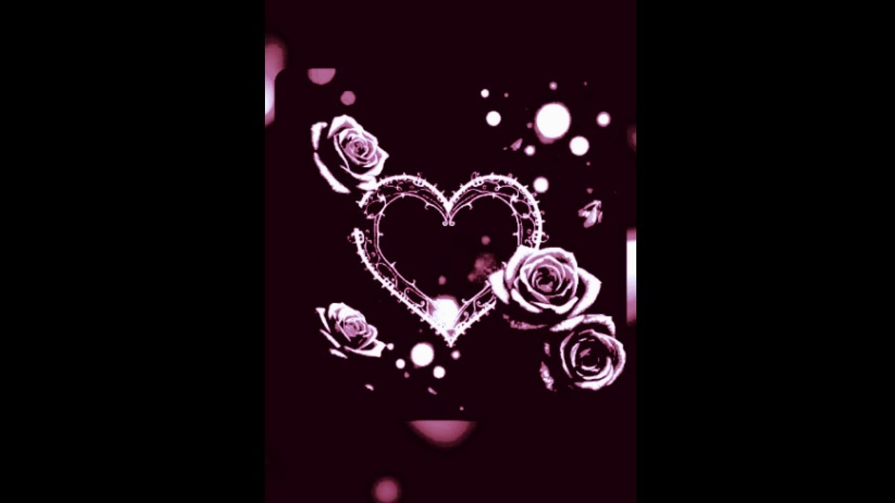 The Heart I Give